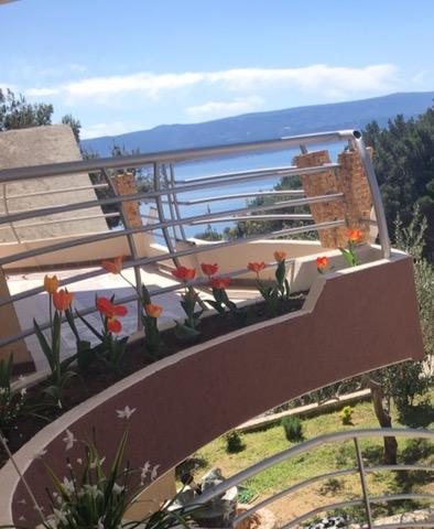 Villa Perkovic Mimice Dış mekan fotoğraf